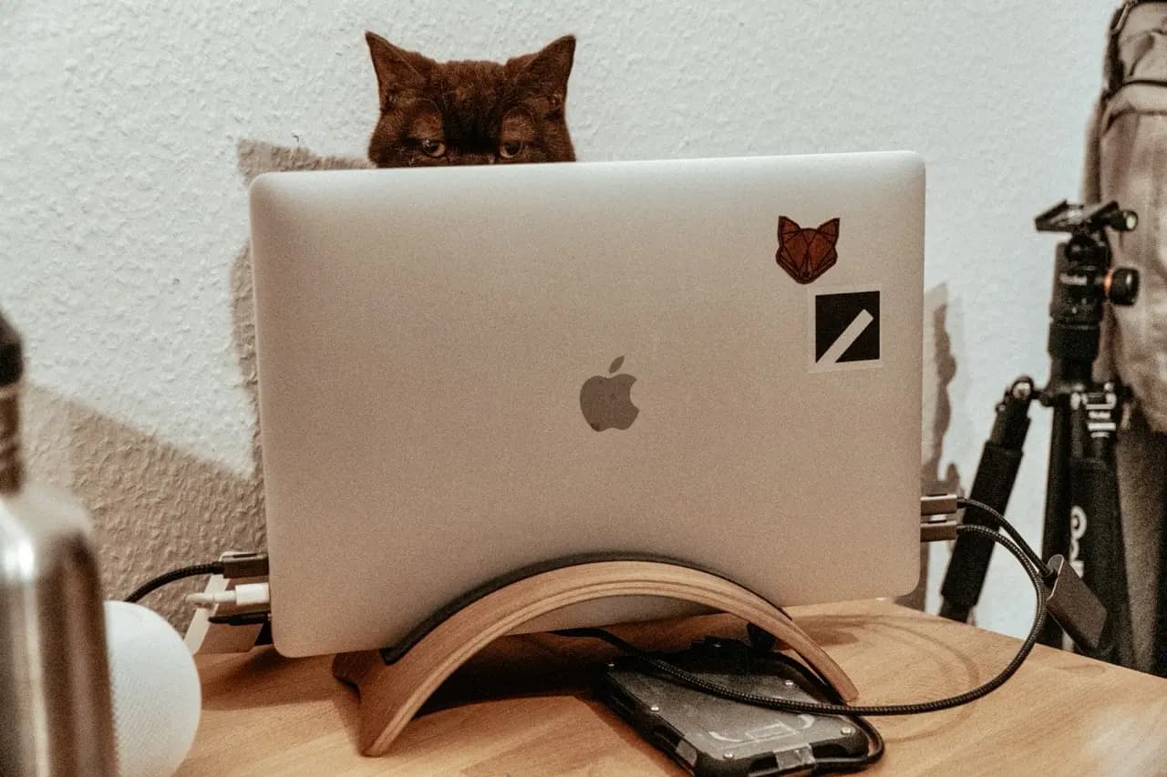 A cat peeking over a laptop on a desk